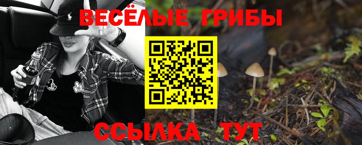 Саяногорск  Галлюциногенные грибы GOLDEN TEACHER  Вход с VPN 