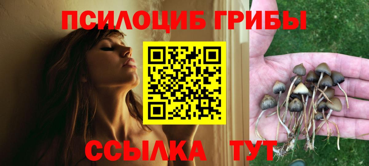 Галлюциногенные грибы Cubensis Саяногорск
